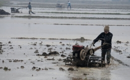 Phát triển ngành cơ khí phục vụ nông nghiệp, nông thôn